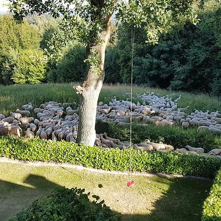 Ferienwohnung "Tecklenburger Augenblicke" Экстерьер фото